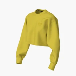 Cheap ciele athletics CRPSweatshirt - Keylime